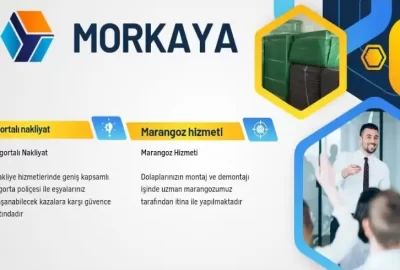 morkaya nakliyat